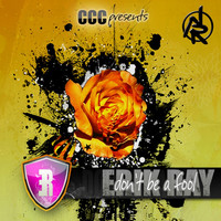 Thumbnail for the Erik Ray - Don't be a fool link, provided by host site