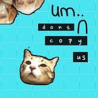 Thumbnail for the um.. - Don't Copy Us link, provided by host site