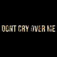 Thumbnail for the Matthew Nolan - Don't Cry Over Me link, provided by host site