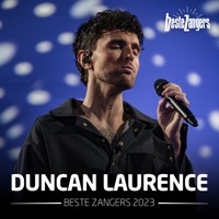 Thumbnail for the Duncan Laurence - Don't Dream It's Over link, provided by host site