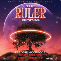 Thumbnail for the Freddie McGregor - Don't Forget Your Brother link, provided by host site