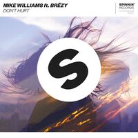Thumbnail for the Mike Williams - Don't Hurt [Extended Mix] (Extended Mix) link, provided by host site