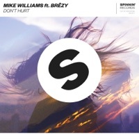 Thumbnail for the Mike Williams - Don't Hurt [Extended Mix] link, provided by host site