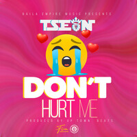 Thumbnail for the T-Sean - Don't Hurt Me link, provided by host site