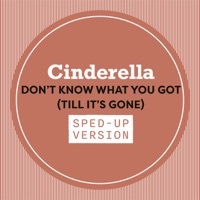 Thumbnail for the Cinderella - Don't Know What You Got (Till It's Gone) [Sped Up] link, provided by host site