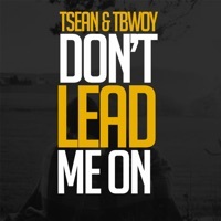 Thumbnail for the T-Sean - Don't Lead Me On link, provided by host site