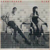 Thumbnail for the Andrew Bird - Don't Let Me Down Again link, provided by host site