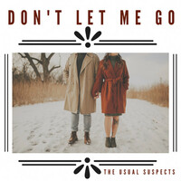 Thumbnail for the the Usual Suspects - Don't Let Me Go link, provided by host site