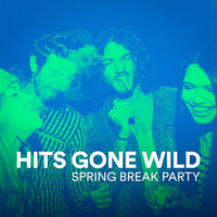 Thumbnail for the Trouble - Don't Stop the Party link, provided by host site