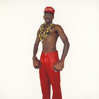 Thumbnail for the Tyler, The Creator - DON'T TAP THE GLASS link, provided by host site
