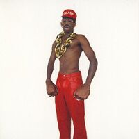 Thumbnail for the Tyler, The Creator - DON'T TAP THE GLASS link, provided by host site