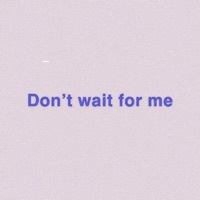 Thumbnail for the Austin Williams - Don't Wait for Me (Gold Keys Remix) link, provided by host site