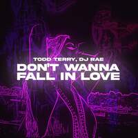 Thumbnail for the Todd Terry - Don't Wanna Fall In Love link, provided by host site