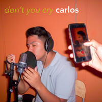 Thumbnail for the Carlitos - Don't You Cry link, provided by host site