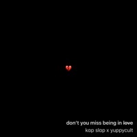 Thumbnail for the Kap Slap - Don't You Miss Being In Love link, provided by host site