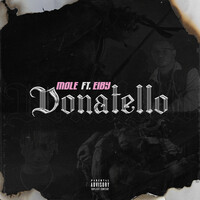 Thumbnail for the Mole - Donatello link, provided by host site