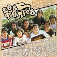 Image of Los Yonic's linking to their artist page due to link from them being at the top of the main table on this page