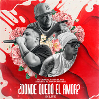 Thumbnail for the Dj Chawala - Donde Quedo El Amor (In Live) link, provided by host site