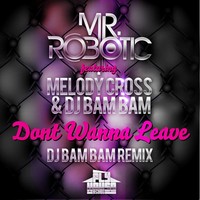 Thumbnail for the Mr. Robotic - Dont Wanna Leave (DJ Bam Bam Radio Remix) link, provided by host site