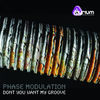 Thumbnail for the Phase Modulation - Dont You Want My Groove link, provided by host site