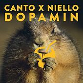 Thumbnail for the Il Canto - Dopamin link, provided by host site