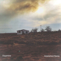Thumbnail for the Rich Aucoin - Dopamine (Hidebehind Remix) link, provided by host site