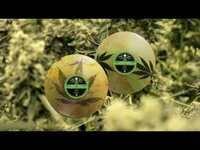 Thumbnail for the Sleep - "Dopesmoker" Weedian High-Fi Pressing from Third Man Records link, provided by host site