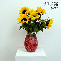 Thumbnail for the Splurge - Dopey link, provided by host site