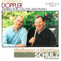 Thumbnail for the Franz Doppler - Doppler: Works for 2 Flutes and Piano link, provided by host site