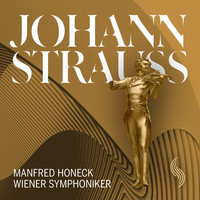 Thumbnail for the Josef Strauss - Dorfschwalben aus Osterreich, Op. 164 link, provided by host site