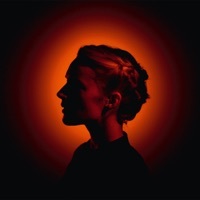 Thumbnail for the Agnes Obel - Dorian link, provided by host site
