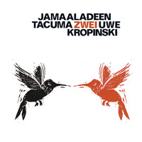 Thumbnail for the Jamaaladeen Tacuma - Dorian Spring link, provided by host site
