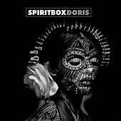 Thumbnail for the Spiritbox - Doris link, provided by host site