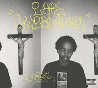 Thumbnail for the Earl Sweatshirt - Doris link, provided by host site