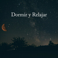 Thumbnail for the Moonlight Sonata - Dormir y Relajar link, provided by host site