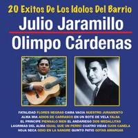 Thumbnail for the Julio Jaramillo - Dos Medallitas link, provided by host site
