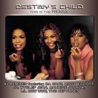 Thumbnail for the Destiny's Child - Dot (The E-Poppi Mix) link, provided by host site