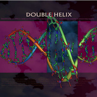Thumbnail for the Entropy - Double Helix link, provided by host site