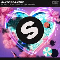Thumbnail for the Sam Feldt - Down For Anything [Extended Mix] (Extended Mix) link, provided by host site