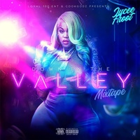 Thumbnail for the Jucee Froot - Down In The Valley (Mixtape) link, provided by host site