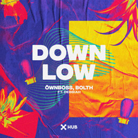 Thumbnail for the Öwnboss - Down Low link, provided by host site