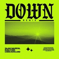 Thumbnail for the Sajan Nauriyal - Down (Remix) link, provided by host site