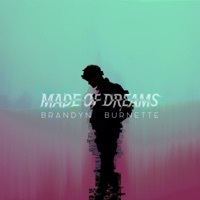 Thumbnail for the Brandyn Burnette - Down (Shindo & Ricky Mears Remix) link, provided by host site