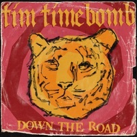 Thumbnail for the Tim Timebomb - Down the Road link, provided by host site