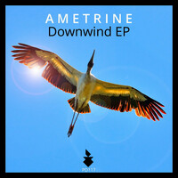 Thumbnail for the Ametrine - Downwind link, provided by host site
