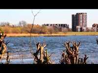 Thumbnail for the Damon Albarn - Dr Dee 'The Dancing King' Teaser link, provided by host site