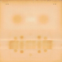 Thumbnail for the Dr. Dog - Dr. Dog link, provided by host site