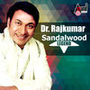 Thumbnail for the Dr. Rajkumar - Dr. Rajkumar - Sandalwood Legend - Kannada Hits 2016 link, provided by host site