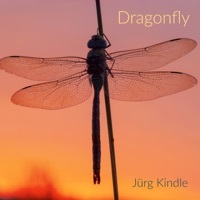 Thumbnail for the Jürg Kindle - Dragonfly link, provided by host site