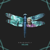 Thumbnail for the Matthew Parker - Dragonfly link, provided by host site